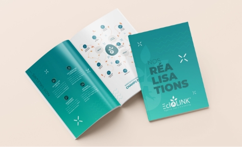 mockup_book_eclolink mockup_book_eclolink